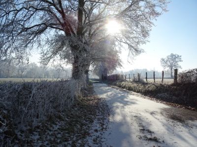 Saint Germain en images 01.01.2017_16