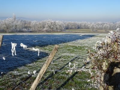 Saint Germain en images 01.01.2017_28